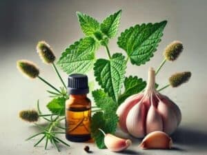 erba gatta, tea tree oil e agio come rimedi naturali per cimici
