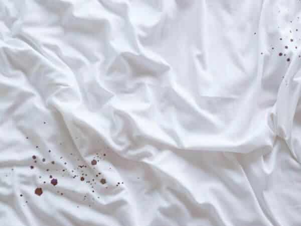 infestazione cimice letti