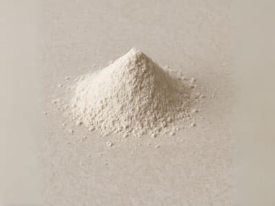polvere di farina fossile