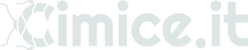 logo chiaro cimice